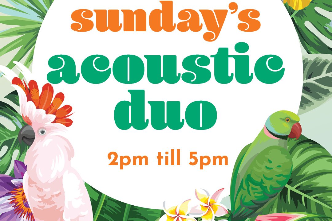 Acoustic Duo